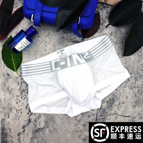 CIN2網眼透氣男士內褲男平角褲純棉短褲頭青年夏季潮流性感底褲衩