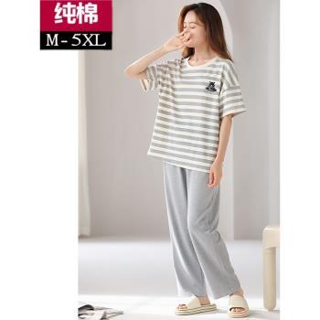 女長褲條紋外穿全棉家居服睡衣