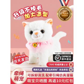 兒童毛絨玩具寶寶女孩子小貓咪