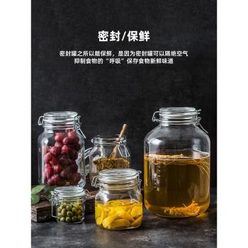 進口酵素瓶玻璃家用儲糧泡酒罐