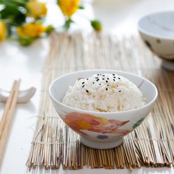 日本進口美濃燒陶瓷餐具釉下彩日料餐具日式和風招財貓米飯碗