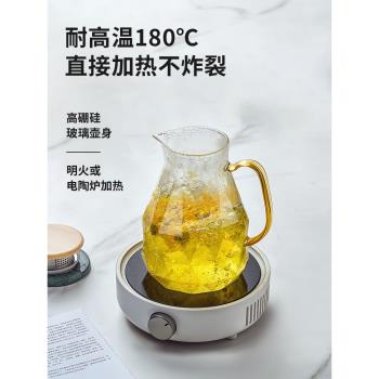 德國FEENIK玻璃冰箱泡茶冷水壺