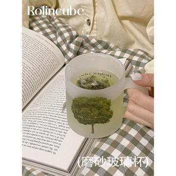 Rolincube原創磨砂玻璃杯創意春季ins風小眾家用辦公泡茶喝水杯子