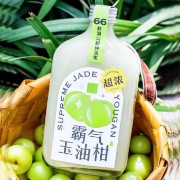 油柑茶汁瓶 奶茶瓶小摘堂果汁飲料瓶PET塑膠 冷萃茶瓶冷泡茶扁瓶
