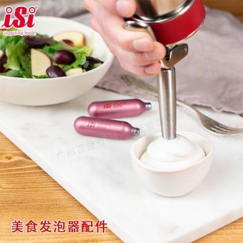 奧地利iSi美食發泡器不銹鋼裱花嘴配件直嘴裱花嘴打奶器噴嘴