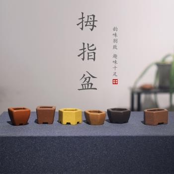 礪砂茗陶 全手工精品紫砂小花盆名家方型迷你多肉菖蒲微景觀盆