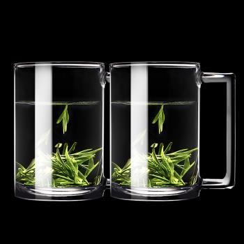 家用鋼化玻璃杯帶把透明辦公室綠茶杯高階高檔男士泡茶杯子喝水杯