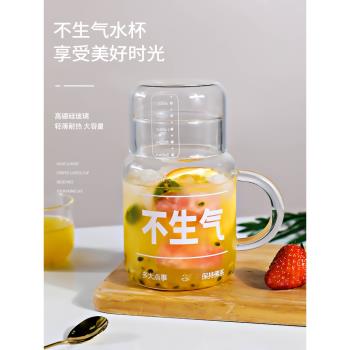 玻璃杯家用耐高溫泡茶水杯男新款2023咖啡吸管杯辦公室大容量杯子