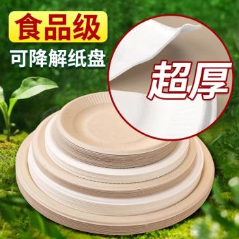 一次性盤子食品級家用商蛋糕餐盤燒烤紙盤野餐露營菜盤幼兒園畫畫