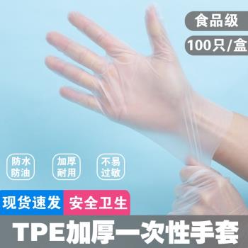 一次性手套TPE加厚耐用食品級專用乳膠手套家用餐飲廚房烘焙手套