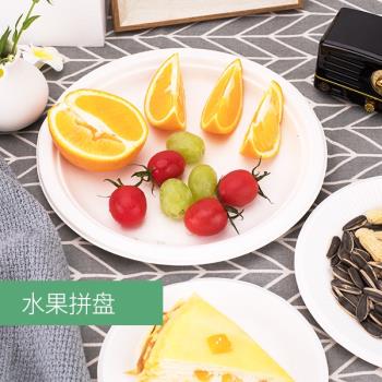 一次性紙盤子紙碗餐具裝菜家用環保野餐燒烤套裝蛋糕手工繪畫聖誕