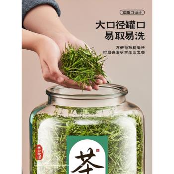 茶葉罐玻璃密封罐高檔大號陳皮儲存罐專用普洱白茶商用瓶儲物罐桶