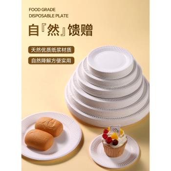 一次性餐盤蛋糕盤子食品級紙碟白色繪畫食品小吃野餐可降解紙盤