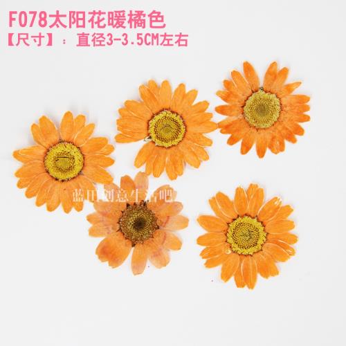 新品鱗托菊壓花干花押花包香薰蠟片蠟燭花材AB手機殼滴膠賀卡書簽