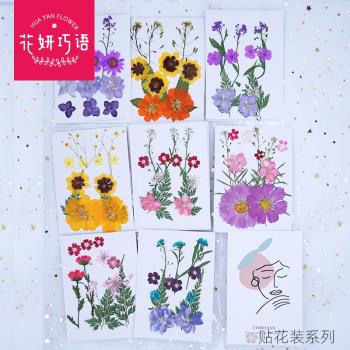 壓花乾花diy材料押花貼臉妝寫真樹葉植物標本創意手工滴膠手機殼