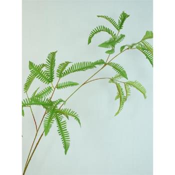 芒萁蕨模擬綠植大枝蕨葉大型落地裝飾擺件蕨類植物墻配材園林造景