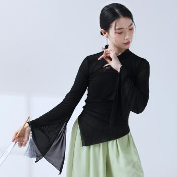 古典舞演出服成人上衣女飄逸仙氣新中式國風練功網紗舞蹈現代身韻