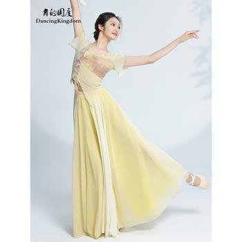 古典紗衣舞蹈服飄逸練功服女中國舞成人顯瘦短袖上衣身韻服演出服