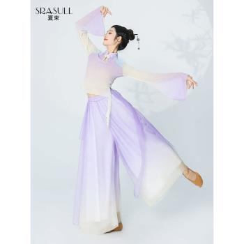 夏束古典舞上衣舞蹈服裝身韻漸變紗衣中國風舞蹈旗袍領飄逸女演出