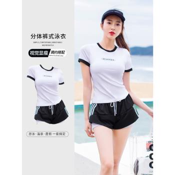 分體女士泳衣新款爆款時尚運動遮肉顯瘦保守聚攏兩件套溫泉游泳衣