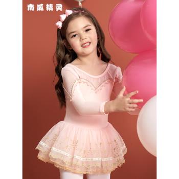 兒童舞蹈服女童秋季練功服公主紗裙幼兒長袖芭蕾舞裙跳舞演出服裝