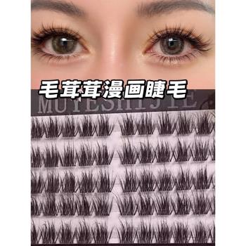 5D蓬鬆嬰兒睫水貂絨假睫毛凌亂分段懶人自然模擬三部曲太陽花單簇