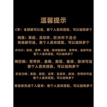 NBA歐冠杯西甲英超模型金球獎