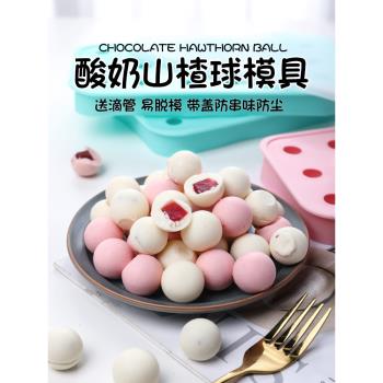酸奶山楂球模具球形巧克力脆皮湯圓奶黃餡家用烘焙工具矽膠磨具