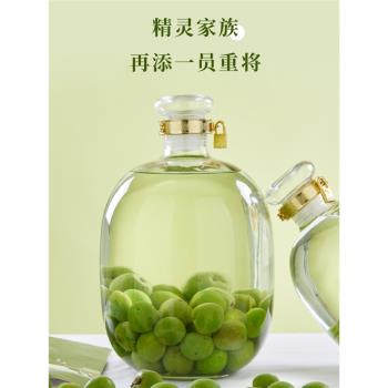 10斤酒罐子密封玻璃泡酒專用玻璃瓶青梅酒瓶空瓶酒缸容器泡酒罐