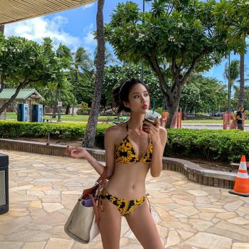 新款小胸聚攏兩件套比基尼網紅性感顯瘦溫泉分體三點式泳衣女