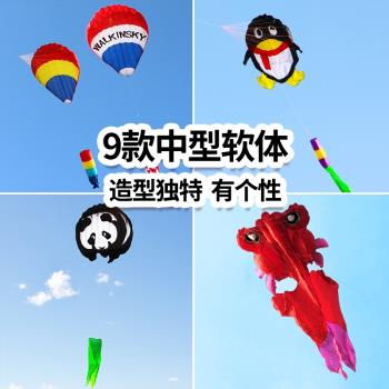 軟體風箏大型高檔成人專用專業新款抗大風好飛長尾立體熱氣球金魚