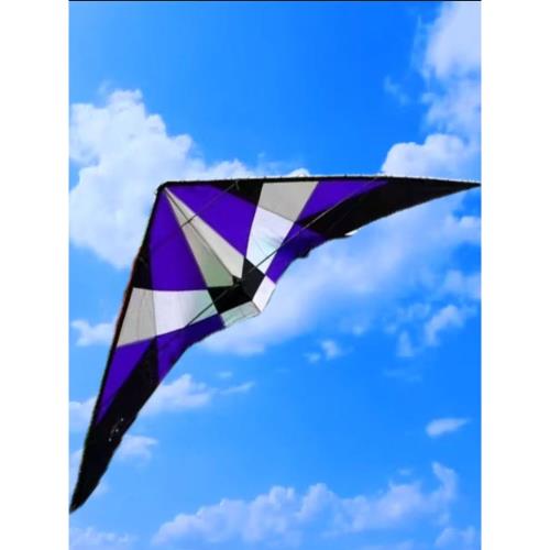 運動型風箏-信天翁2.7米大風暴-微風版-聲音巨大 特技風箏