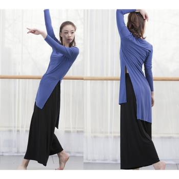 舞蹈服女成人套裝民族現代舞服裝形體上衣舞瑜伽教師古典舞練功服