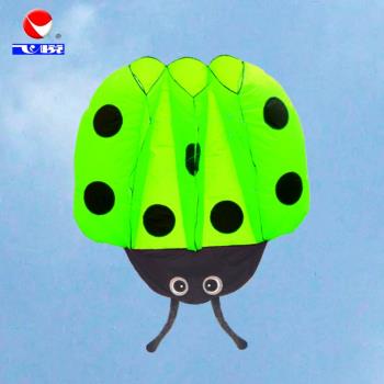 飛悅成人大人軟體風箏瓢蟲易飛濰坊新款大型3d立體小鋼炮風箏