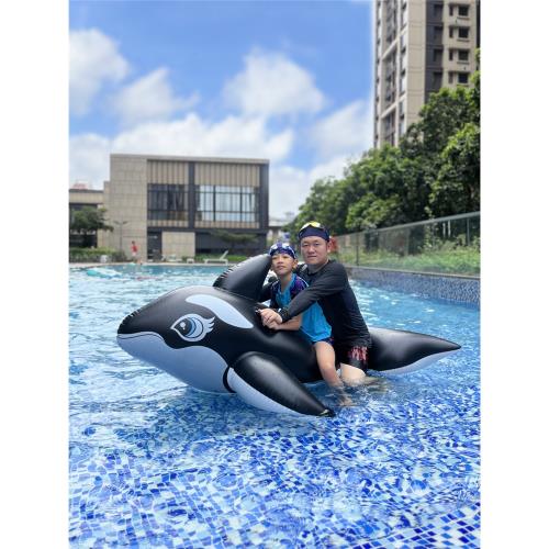 黑鯨火烈鳥游泳圈充氣坐騎獨角獸成人兒童水上樂園浮床泳池玩具