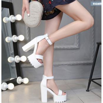 酒吧ds演出粗跟防水臺高跟單鞋嘻哈gogo領舞鞋女性感夜場dj歌手