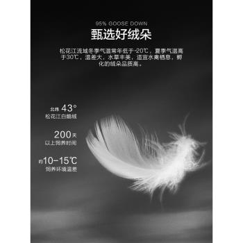 水星家紡抗菌鵝絨鵝毛枕單人枕頭家用呵護頸椎枕芯學生宿舍一隻裝