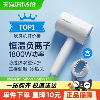飛科負離子專用大功率電吹風機