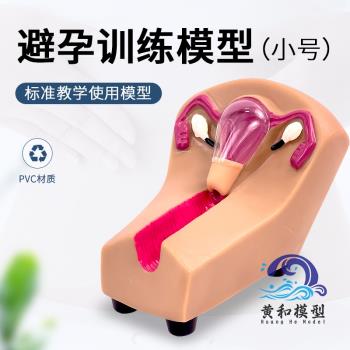 女性宮內避孕器及訓練模型子宮生殖器官教學模具上環取環練習