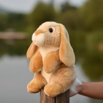 模擬兔子rabbit野兔小白兔長耳兔兔毛絨玩具動物公仔玩偶禮物禮品