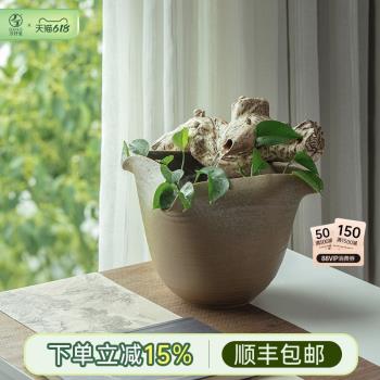 萬仟堂創意陶瓷流水器家居循環加濕器中式辦公室裝飾擺件枯木逢春