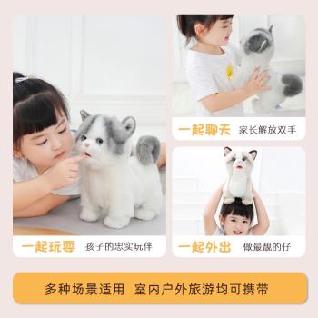 喝奶舔舔喵玩具貓模擬會動會叫會走兒童智慧電子小貓咪寵物電動貓