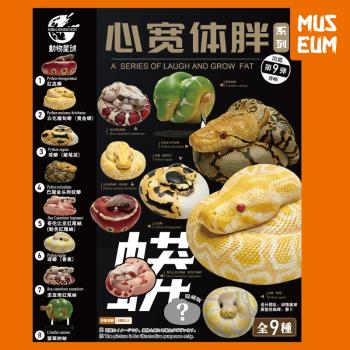 心寬體胖第9彈圭亞那蛇模型動物