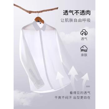 SHANSHAN男款純棉白色短袖襯衫