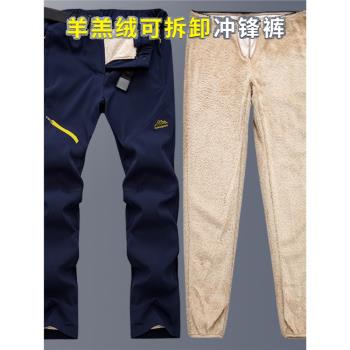 沖鋒褲男防雨防風褲秋冬季加絨加厚防寒滑雪褲子戶外保暖登山褲女