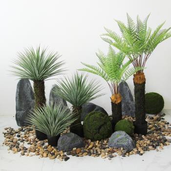 森系模擬尖葉龍血樹盆景室內中式綠植景觀辦公室落地裝飾造景擺件