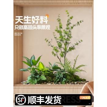 羅曼媽媽仿生綠植小造景假樹落地景觀熱帶植物造景樓梯角落裝飾