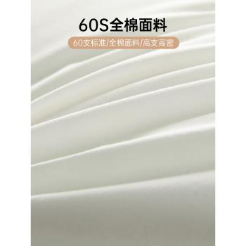 家用枕頭枕芯護頸椎一對套裝旗艦店單雙人學生宿舍酒店可水洗整頭