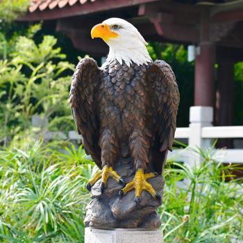 模擬野生動物擺件大老鷹白頭鷹花園庭院裝飾品雄鷹雕塑樹脂工藝品
