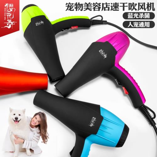 櫻花舞寵物吹風機大功率泰迪吹水機吹干機貓咪狗狗洗澡速干電吹風